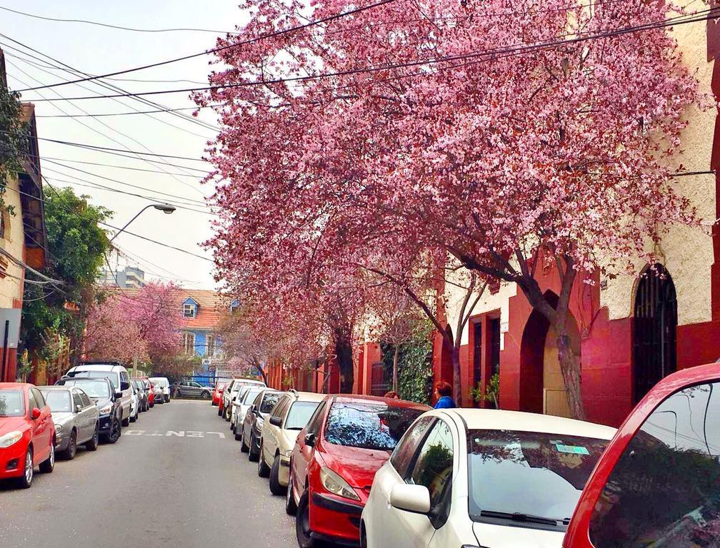 Tralkan B&B Santiago Exterior photo